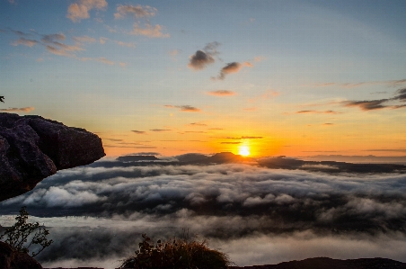 Foto Hutan awan langit suasana