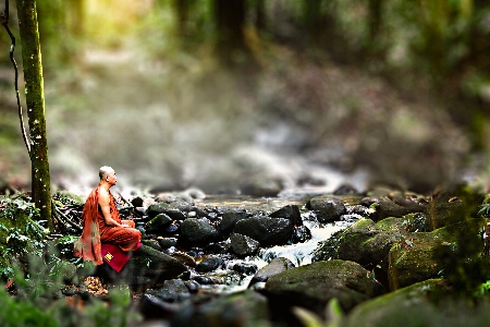 Foto Biarawan buddhis agama buddha theravada
 bepergian