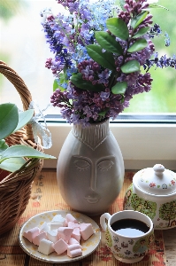 Natural flower tableware plant Photo