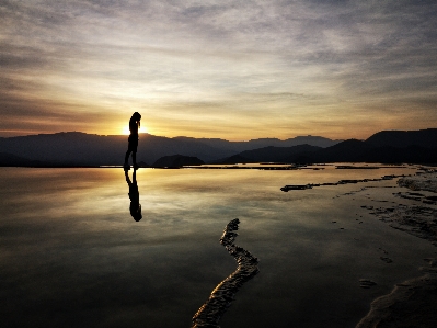 Wildlife cloud water sky Photo