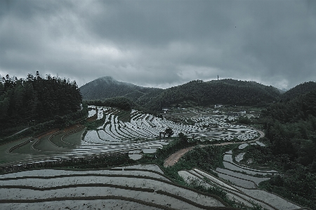 Terraced fields cloud sky Photo