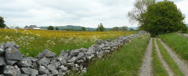 Stone wall meadow sky cloud Photo