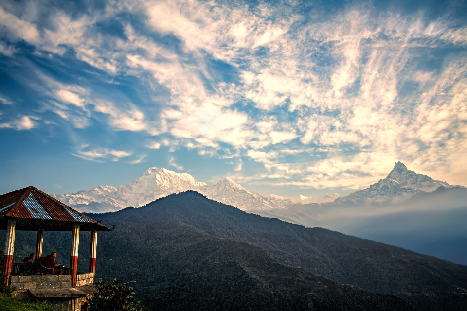 Monk buddhist theravada buddhism nature