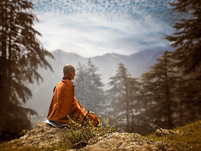 Foto Biarawan buddhis agama buddha theravada
 alam