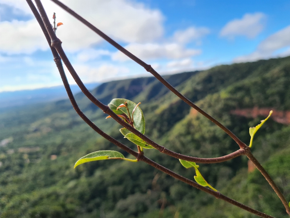 自然 云 天空 山