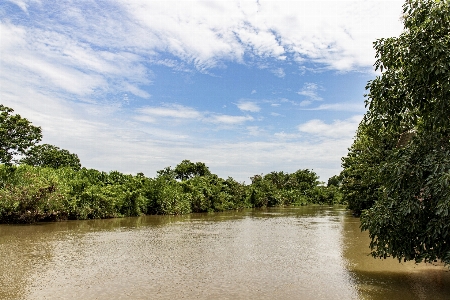 Agriculture asia asian background Photo