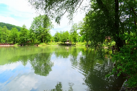 Natural water sky plant Photo