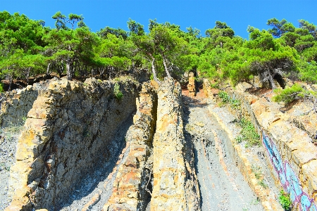 Natural sky plant water resources Photo