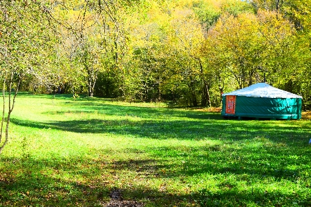 Natural plant community tent Photo