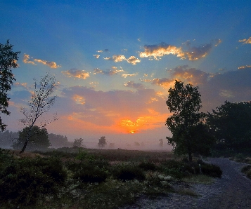 Foto Cedo manhã verão enevoado
