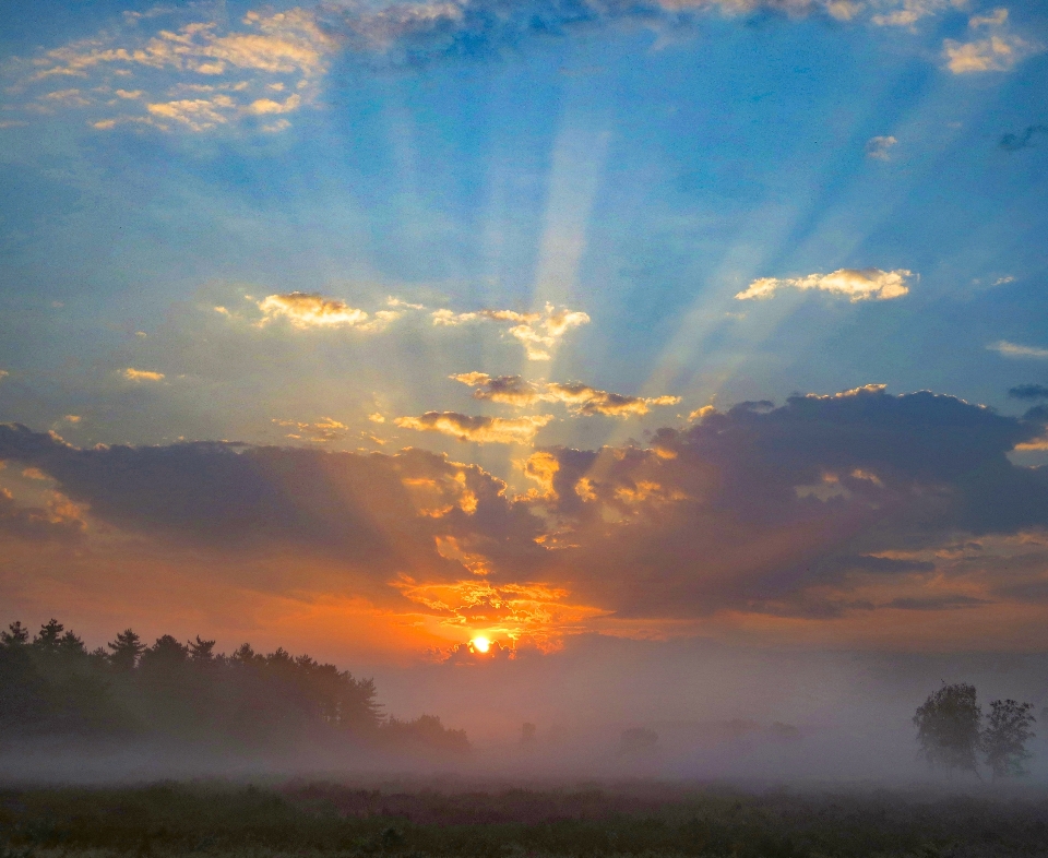 Early sunrise mist cloud