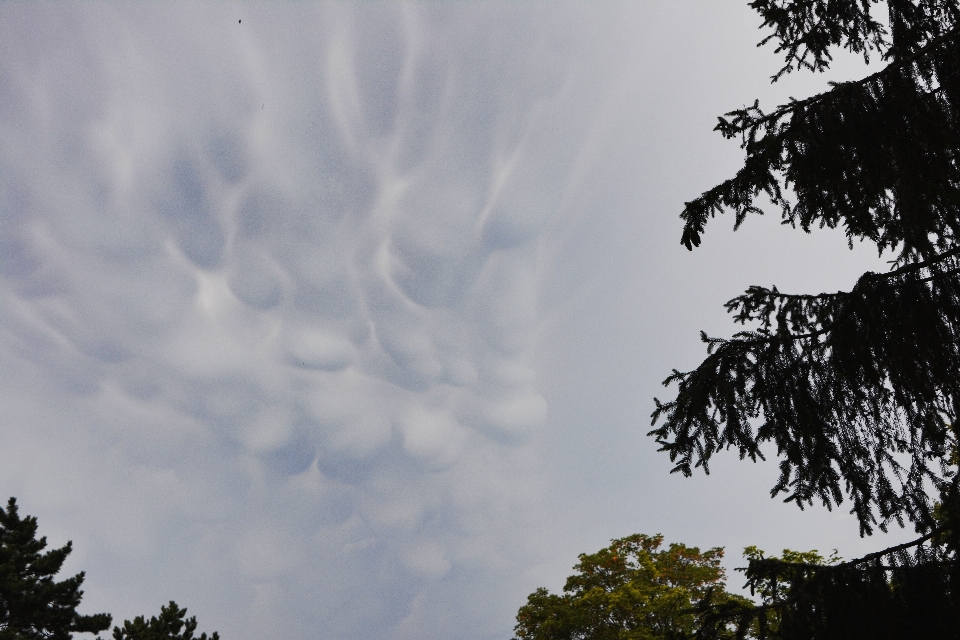 Langit awan suasana cabang