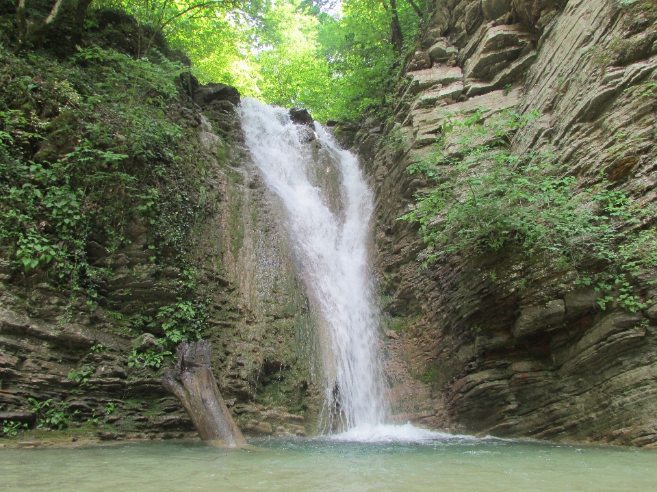 Natürlich wasser anlage Ökoregion
