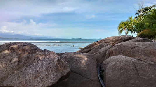 Tropical beach tree travel Photo