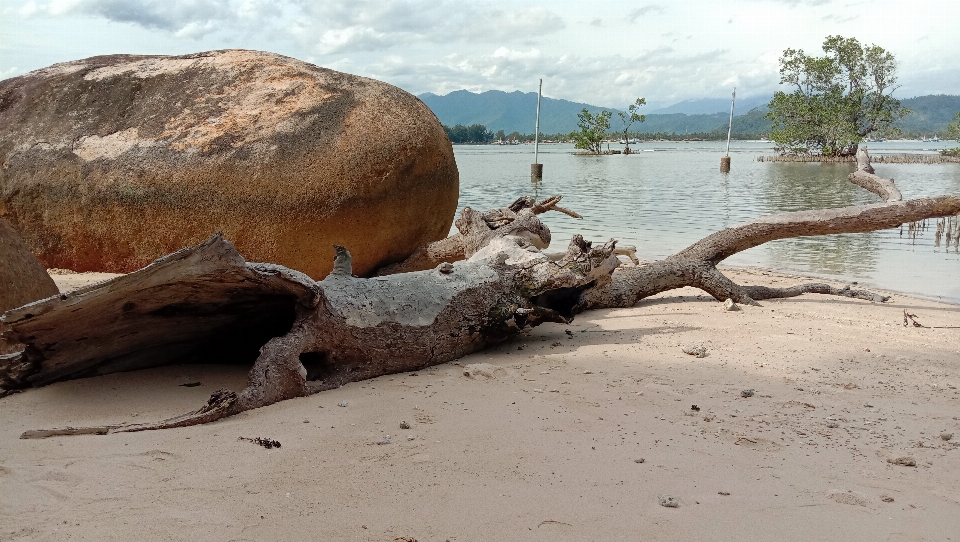 Nature rock landscape beach