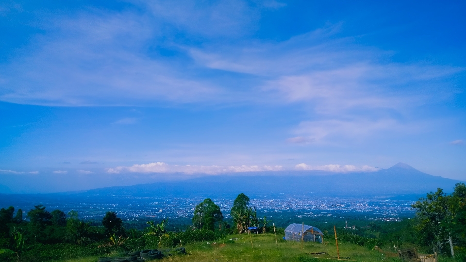 空 クラウド 植物 エコリージョン
