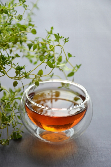 Tea herbal thyme fragrant