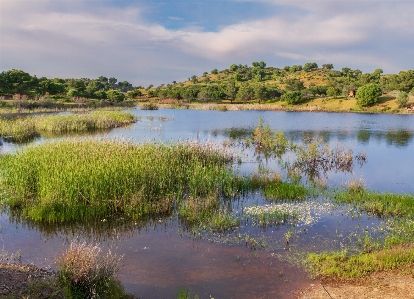 Pond water sky cloud Photo