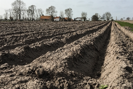 Earth soil brown lines Photo