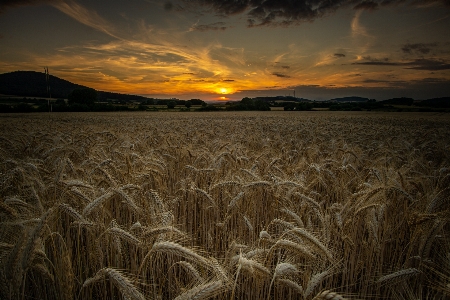 Natural cloud sky ecoregion Photo