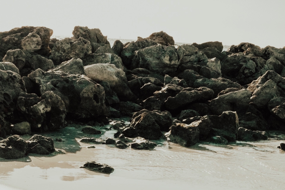 Beach rocks water gray