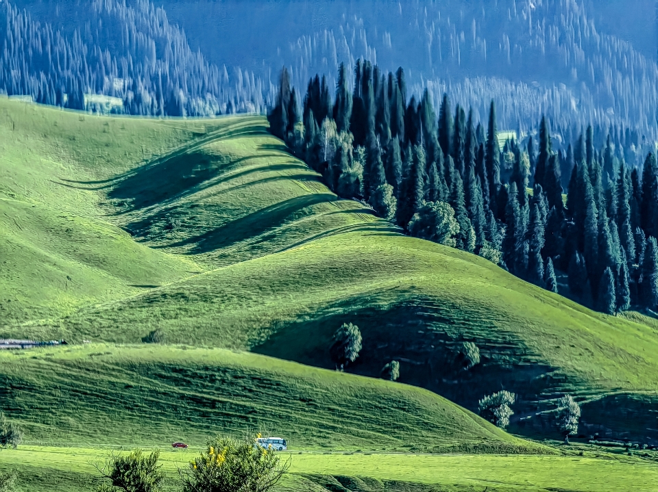 Grassland sky plant mountain