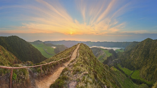 オオタカ
 クラウド 空 植物 写真