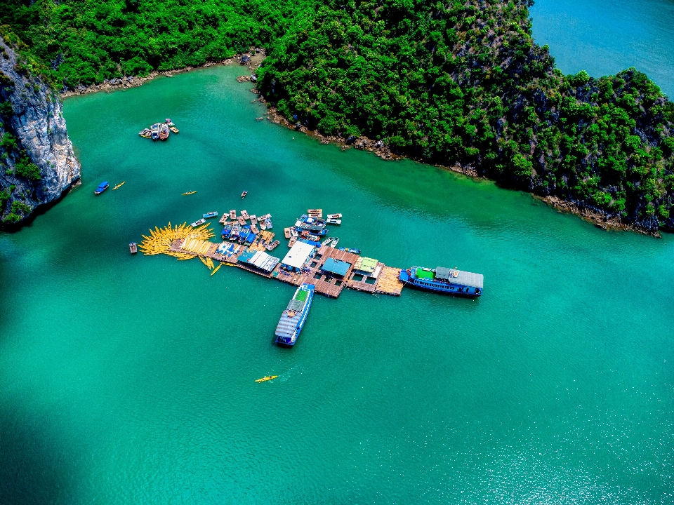 Doğal su bot deniz taşıtı