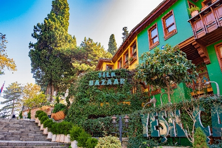 Natural sky plant building Photo