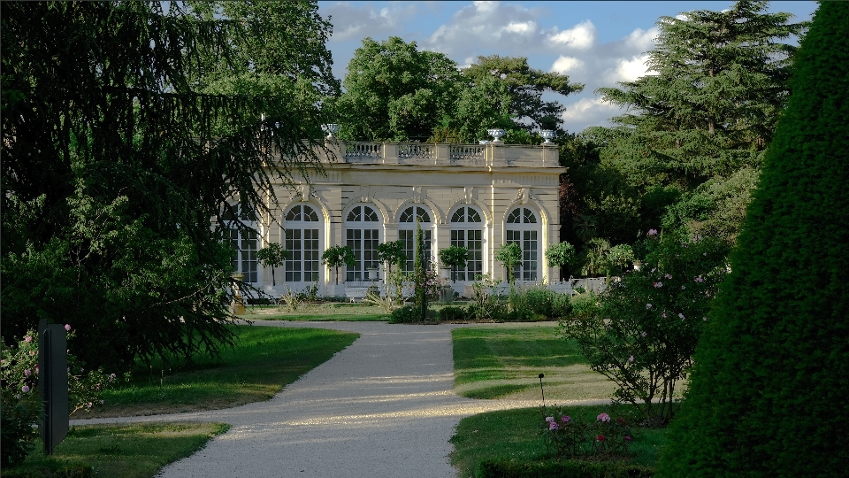 Jardin
 naturaleza planta edificio