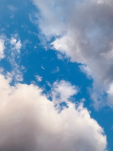 Foto Cielo nube azul árbol