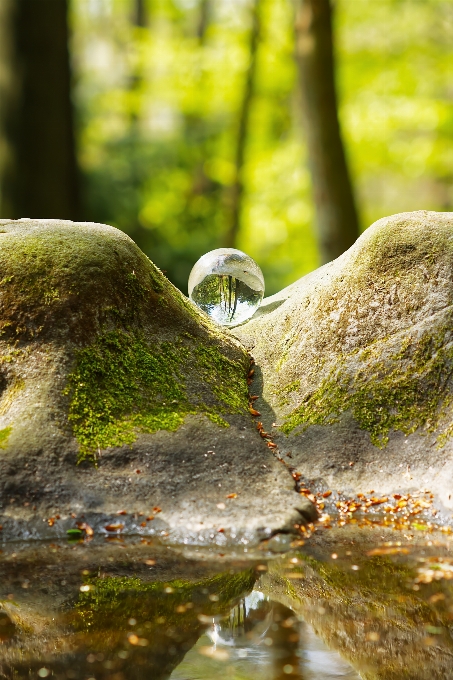 自然 水 液体 自然の風景
