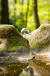 Natural water liquid landscape Photo