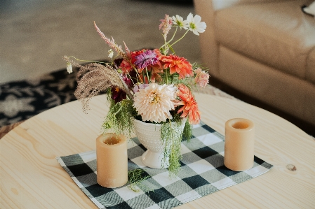 Flower table plant flowerpot Photo