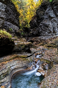 Natural water plant nature Photo