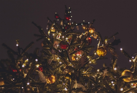 Foto Inverno árvore de natal feriado