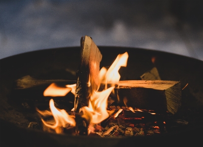 Bonfire forest comfort winter Photo