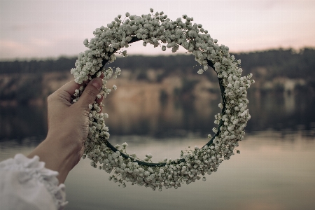 Flower wreath sky daytime Photo