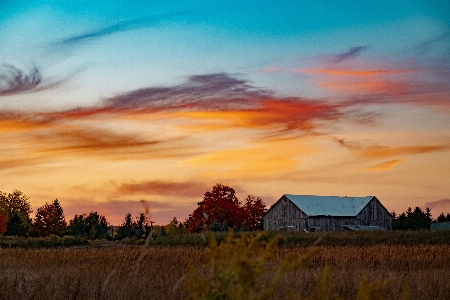 Sky cloud plant atmosphere Photo