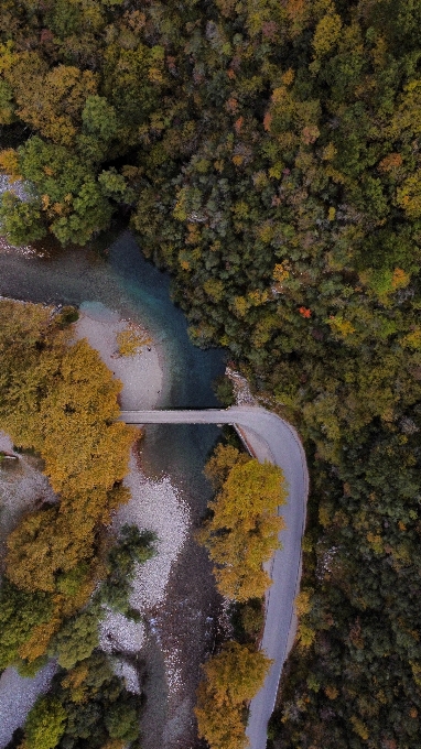 Natural water resources leaf