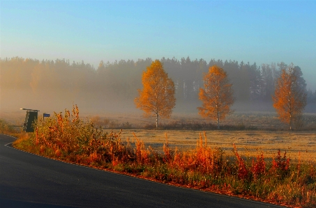 Natural plant sky ecoregion Photo