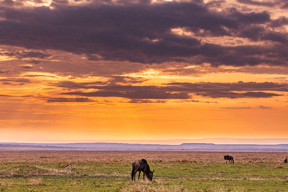 Natural cloud sky landscape