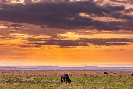 Natural cloud sky landscape Photo