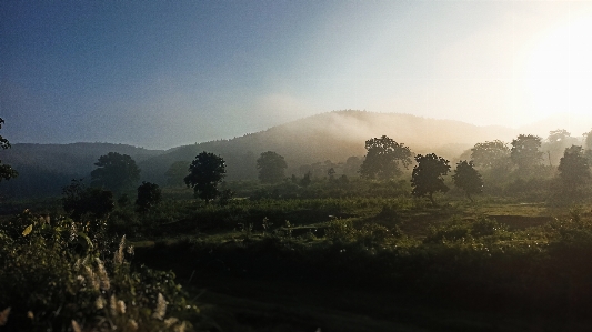 Landscape forest sunrise morning Photo