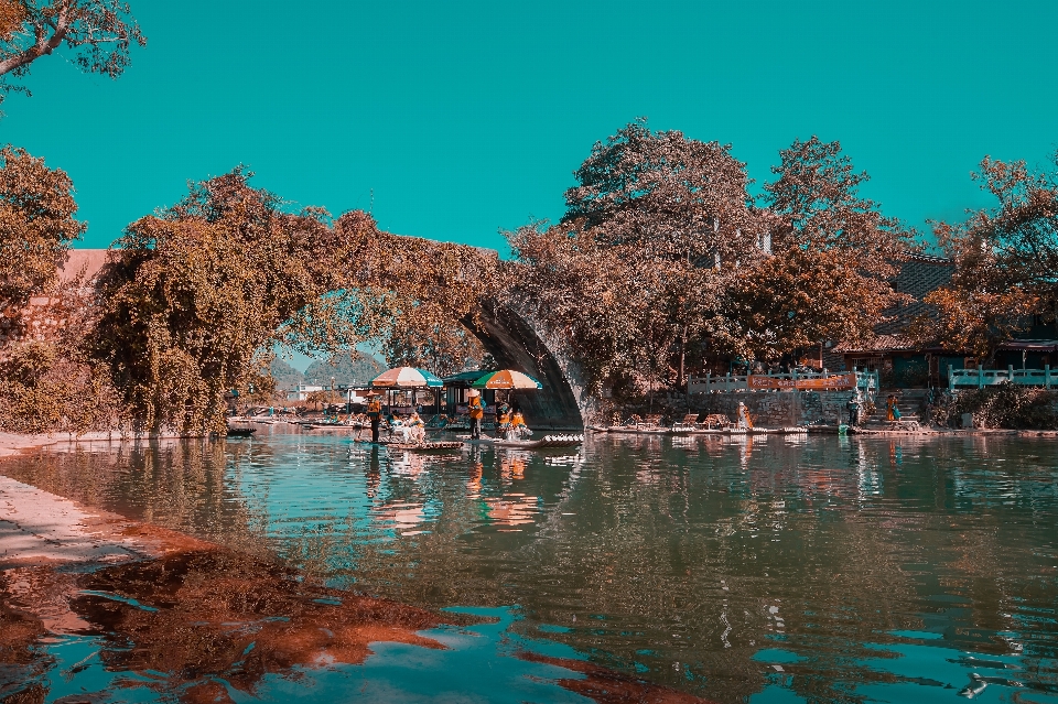 橋 水 空 植物