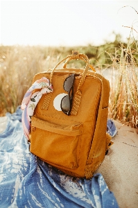 Bag luggage and bags sleeve orange Photo