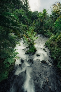 Natural plant water resources ecoregion Photo