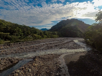 Sky clouds green river Photo