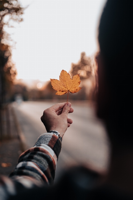 Leaf hand sky people in nature