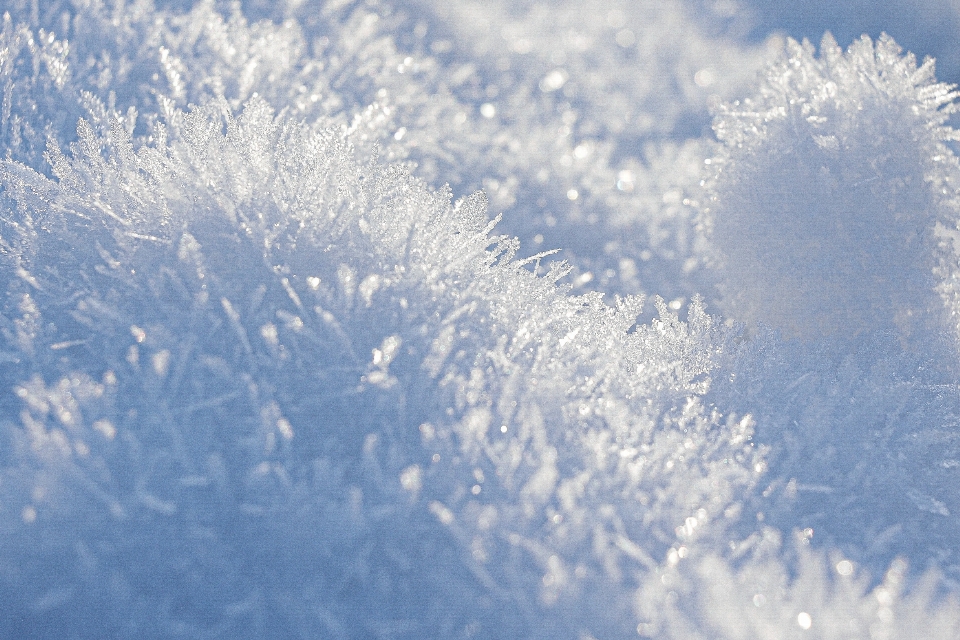 Schnee sonnenlicht einfrieren atmosphärisches phänomen
